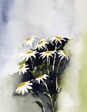 by Osman Kilciler
