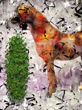 by Ropati Leaso-Cobb