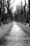 by Jan Jacob Mekes