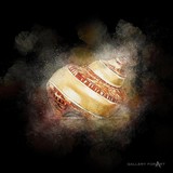 by artur wasielewski