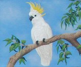 by Jodi Bilske