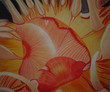 by Maria Amador