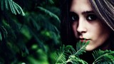 by Joana D'Assumpcao