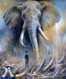 by Lynne Davies