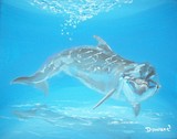 by Raymond Doward