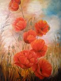 by Aynur Gürsoy