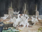 by Donatella Magara