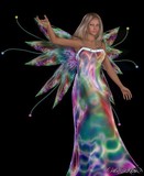by cathy sansone
