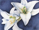by Kirsten Neil