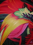 by Oggy     