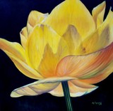 by Elsa Gallegos