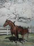 by Albert Howard