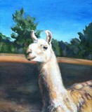 by Kathy Schoeppner