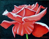 by Carol Sabo