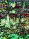 by Helmut Licht