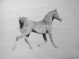 by Angelica Burtley