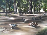 by Yolanda Barjoud