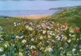 by anne lynch