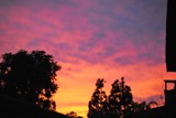 by Debra Kott
