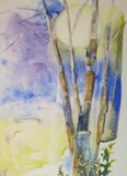 by Dianne Nungesser