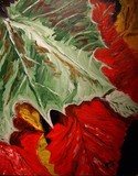 by tracie godri