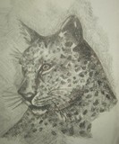 by Deborah Gorga