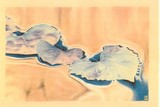 by Hiedi Glauber
