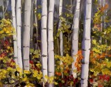 by Debi Hinshaw
