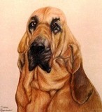 by Diane Kopczeski