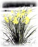 by Gretchen Hendricks