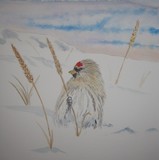 by Gudrun  Hreinsdottir 
