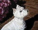 by Linda Becker