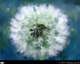 by Holley Jacobs