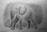 by Kevin Ramm