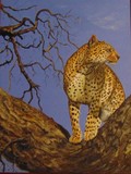 by john tukey