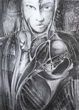 by Jacek Bednarek
