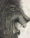 by Stephanie Hochwalt