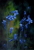 by Cene gál István