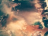 by Sabrina Laughlin