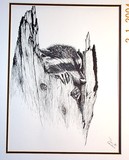 by cathy Gemkow