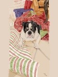 by Kathleen Stier