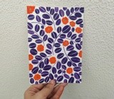by Pakhi Sachdeva