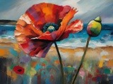 by Mihaela B