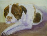 by Joanne  Fort