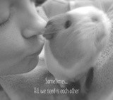 by Laura Jane Lindsay