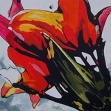 by connie van winssen
