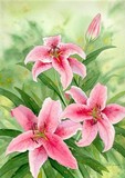 by Brenda Mousseau
