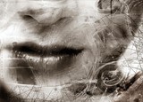 by Sylvia  Sokolowska