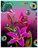 by Nascimento Sergio