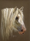 by Jennifer Redstreake
